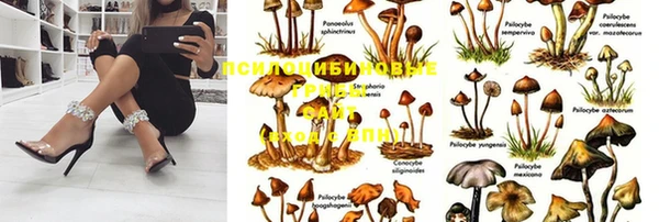 мдпв Алексеевка